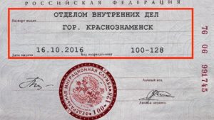 Рандом серия и номер паспорта