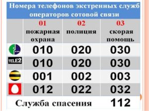 Полиция мотив номер
