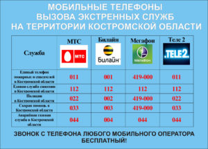 Полиция мотив номер