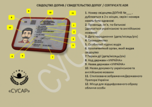 Как проверить подлинность допог