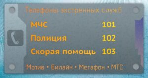 Полиция мотив номер