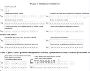 Как заполнить нулевой отчет 6 ндфл образец заполнения