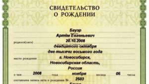 Как проверить свидетельство о рождении ребенка в реестре