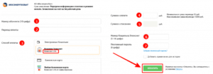 Оплатить электроэнергию без комиссии в москве
