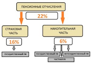 Как узнать куда идут пенсионные отчисления