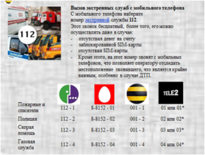 Полиция мотив номер
