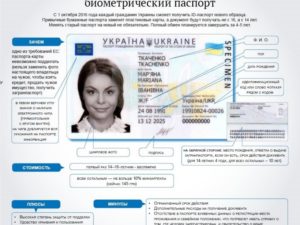 Где указан номер паспорта в биометрическом паспорте