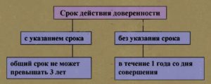 Срок действия нотариальной доверенности без указания срока