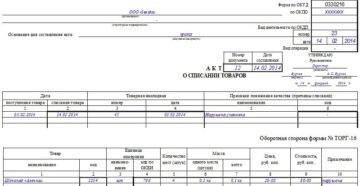 Образец акта на списание продуктов питания  причины