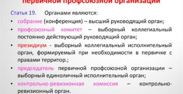 Выборный орган первичной профсоюзной организации это