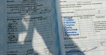 Лицензия на вылов рыбы сетями цена