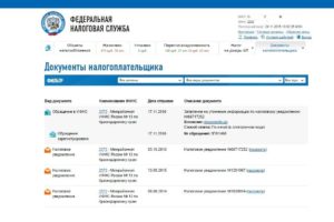 Что значит переплата в личном кабинете налогоплательщика физического лица