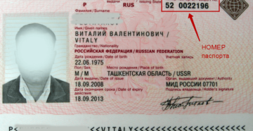 Кем выдан загранпаспорт где смотреть Кем выдан загранпаспорт где смотреть