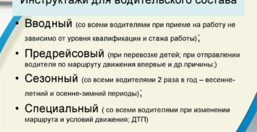 Виды инструктажей по бдд порядок и сроки их проведения