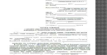 Образец искового заявления от третьего лица в рамках идущего делать Образец искового заявления от третьего лица в рамках идущего делать