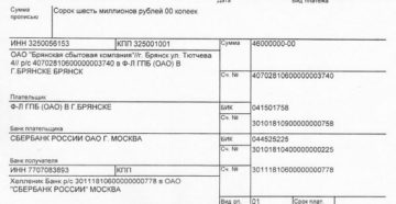 Платежное поручение на пополнение уставного капитала