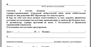 Расписка родителей об ответственности за жизнь и здоровье ребенка образец