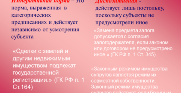 Диспозитианые нормы примеры из конституции рф